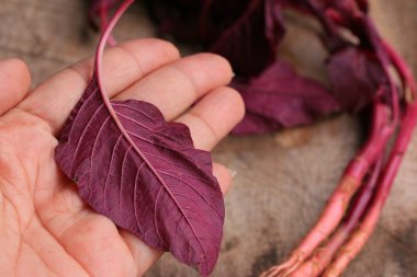 ahşap bir vintage üzerinde kırmızı ıspanak