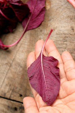 ahşap bir vintage üzerinde kırmızı ıspanak