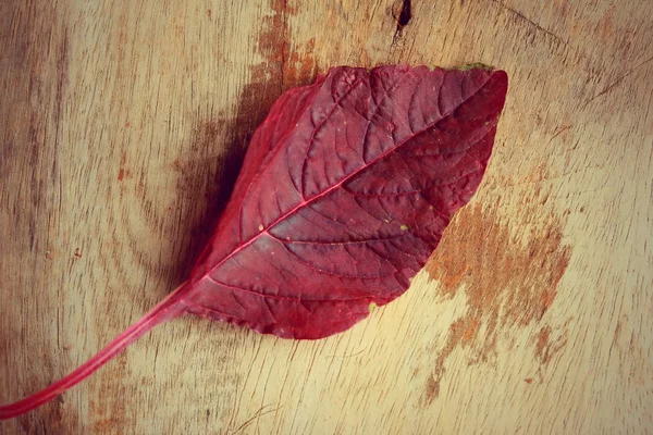 ahşap bir vintage üzerinde kırmızı ıspanak