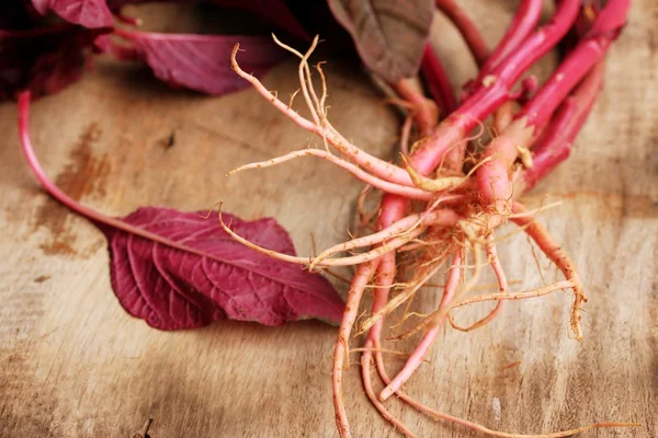 Red spinach on a wooden vintage — Stock Photo, Image