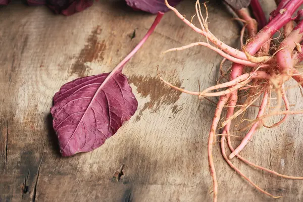 ahşap bir vintage üzerinde kırmızı ıspanak