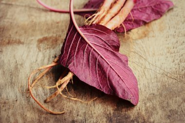 ahşap bir vintage üzerinde kırmızı ıspanak