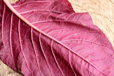 ahşap bir vintage üzerinde kırmızı ıspanak