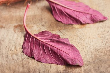 ahşap bir vintage üzerinde kırmızı ıspanak