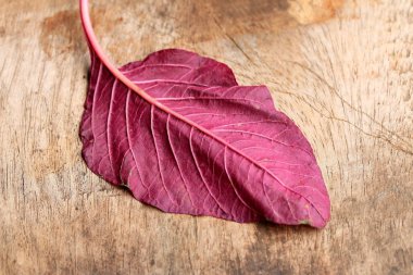 ahşap bir vintage üzerinde kırmızı ıspanak