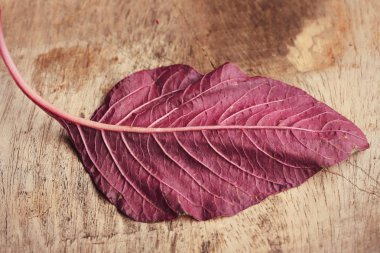 ahşap bir vintage üzerinde kırmızı ıspanak