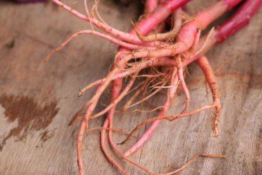 ahşap bir vintage üzerinde kırmızı ıspanak