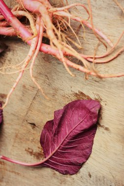 ahşap bir vintage üzerinde kırmızı ıspanak