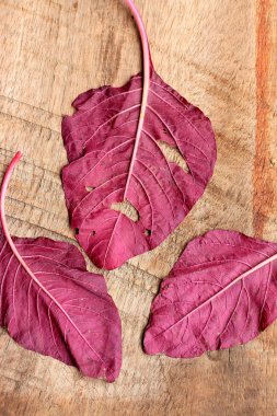 ahşap bir vintage üzerinde kırmızı ıspanak