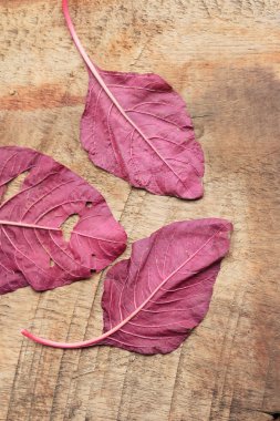 ahşap bir vintage üzerinde kırmızı ıspanak