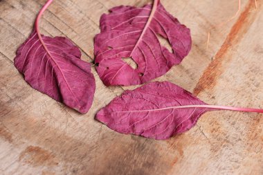 ahşap bir vintage üzerinde kırmızı ıspanak