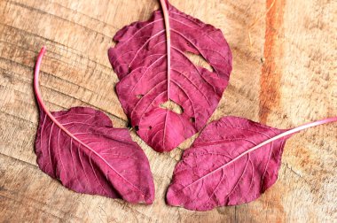 ahşap bir vintage üzerinde kırmızı ıspanak