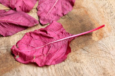 ahşap bir vintage üzerinde kırmızı ıspanak