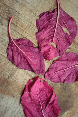 ahşap bir vintage üzerinde kırmızı ıspanak