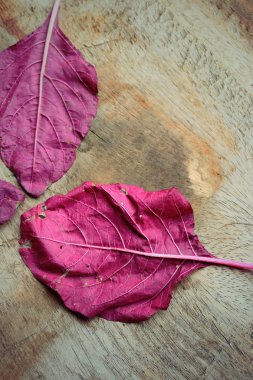 ahşap bir vintage üzerinde kırmızı ıspanak