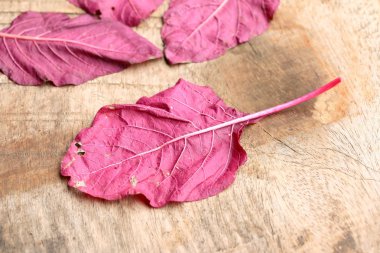 ahşap bir vintage üzerinde kırmızı ıspanak