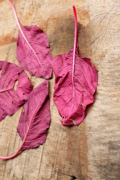 Espinafre vermelho em uma safra de madeira — Fotografia de Stock