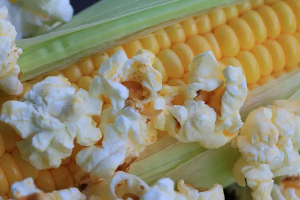 Tasty popcorn and fresh corn — Stock Photo, Image