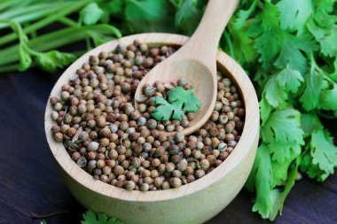 Taze kişniş ve kurutulmuş tohumları