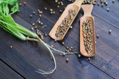 Taze kişniş ve kurutulmuş tohumları