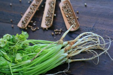 Taze kişniş ve kurutulmuş tohumları