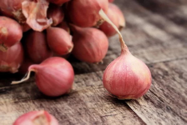 Dutch Red Shallot