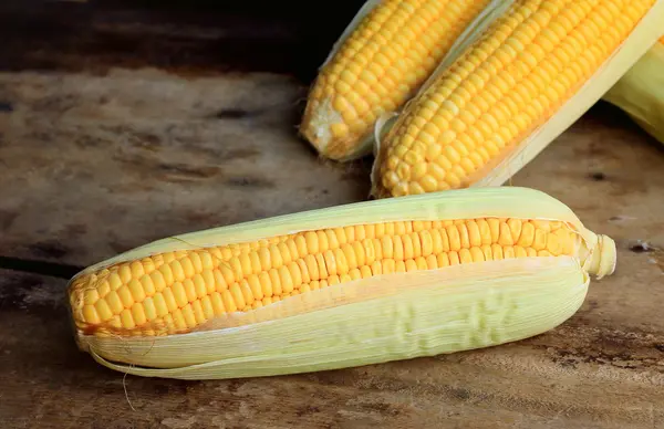 Fresh corn — Stock Photo, Image