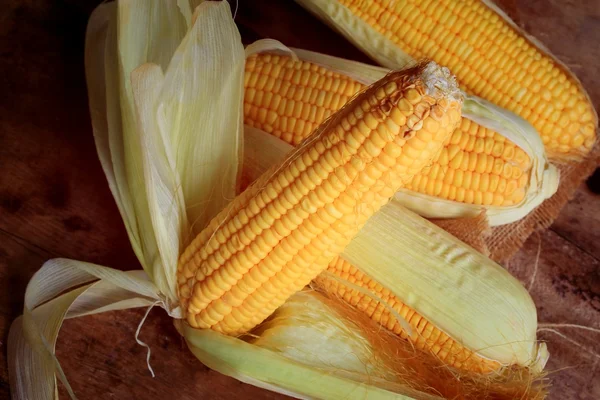 Fresh corn — Stock Photo, Image