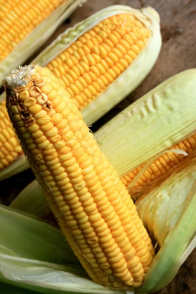 Fresh corn — Stock Photo, Image