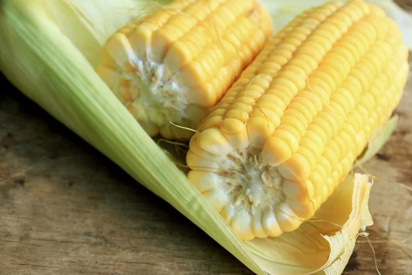 Fresh corn — Stock Photo, Image