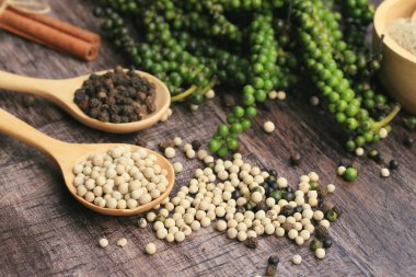 Taze yeşil biber tohumları ve kuru tahıl