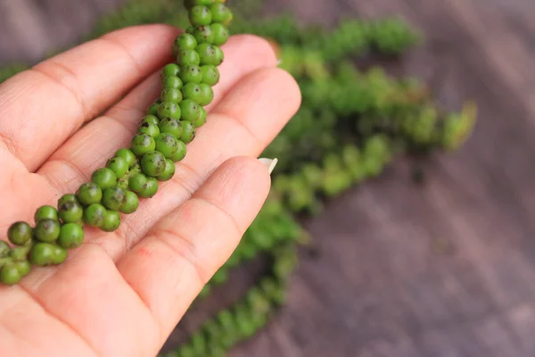 Semillas de pimienta verde fresca —  Fotos de Stock