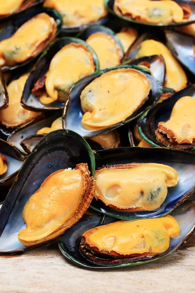 Big mussel — Stock Photo, Image