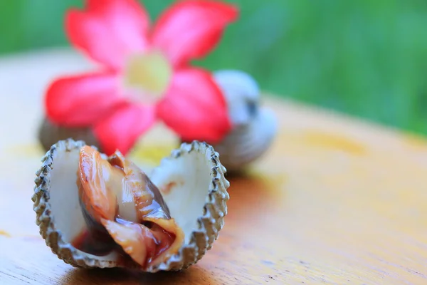 Cockles with pink flowers — 스톡 사진