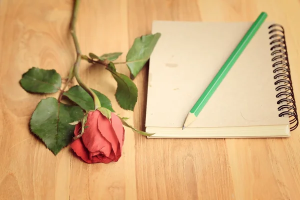 Red rose — Stock Photo, Image