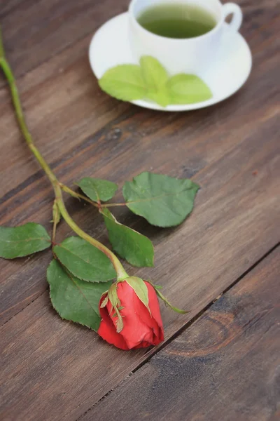 Red rose — Stock Photo, Image