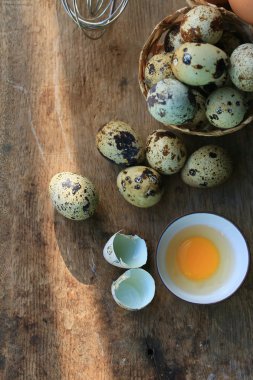 bıldırcın yumurtası