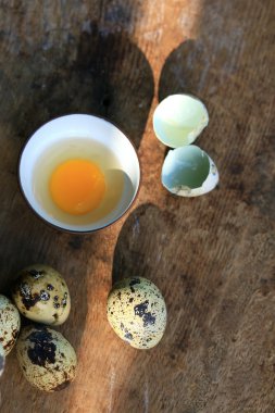 bıldırcın yumurtası