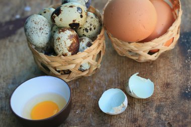 bıldırcın yumurtası