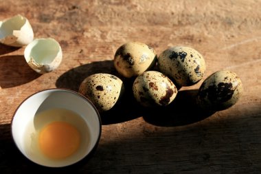 bıldırcın yumurtası