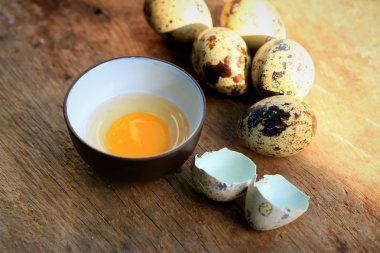 bıldırcın yumurtası