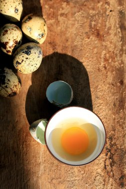 bıldırcın yumurtası