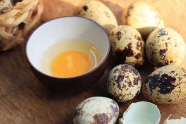 bıldırcın yumurtası