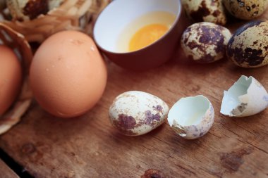 bıldırcın yumurtası