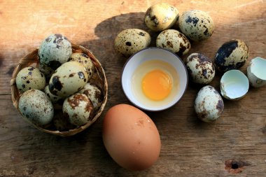 bıldırcın yumurtası