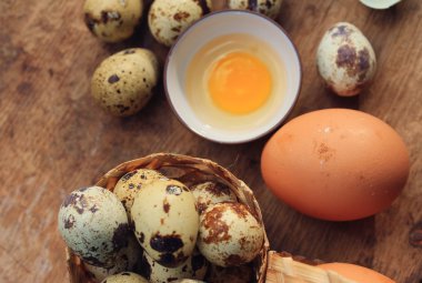 bıldırcın yumurtası