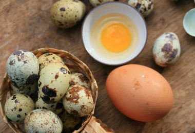 bıldırcın yumurtası