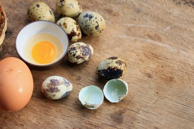 bıldırcın yumurtası