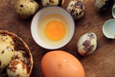 bıldırcın yumurtası