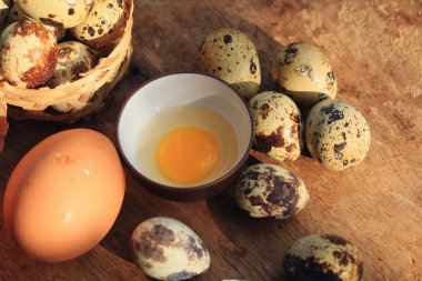 bıldırcın yumurtası